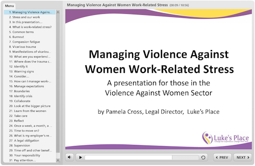 Managing violence against women work-related stress - online presentation screen shot