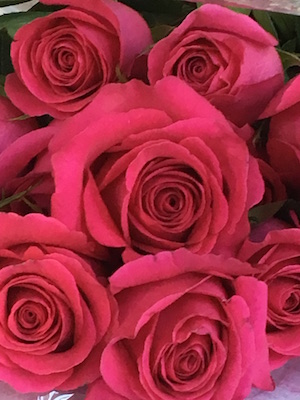 roses